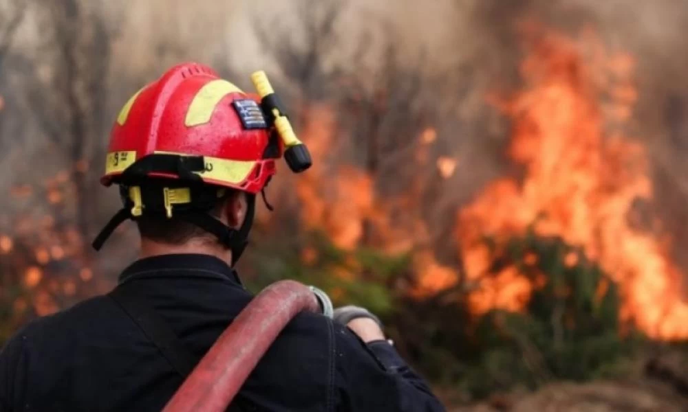 Επί ποδός η Πυροσβεστική-Φωτιά καίει δασική έκταση κοντά στο Μαρτίνο Φθιώτιδας